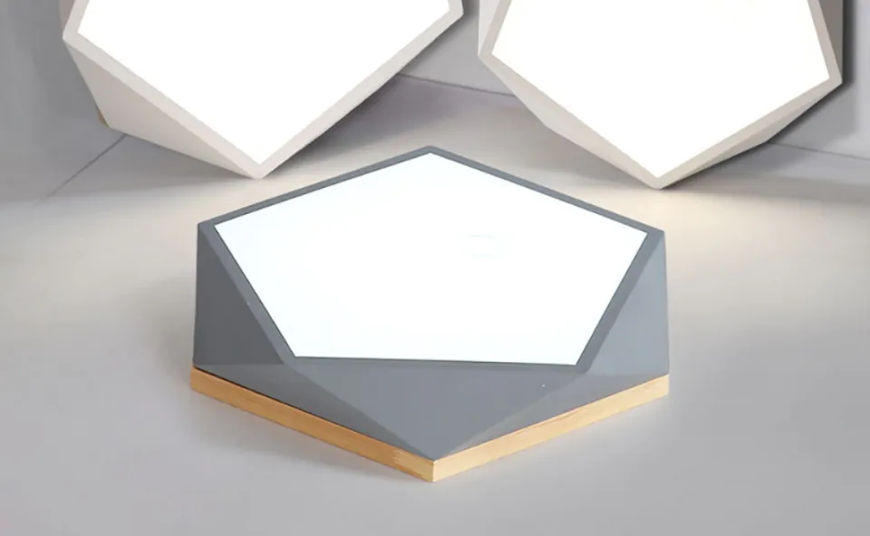 Project Image 2